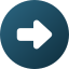 icon_bullet